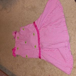 Pink with Turtles Embroidered Dress